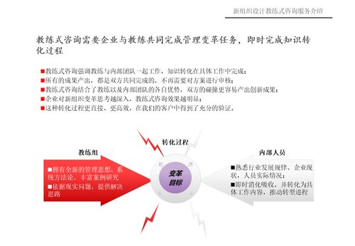 新組織設(shè)計(jì) 教練式咨詢服務(wù)介紹